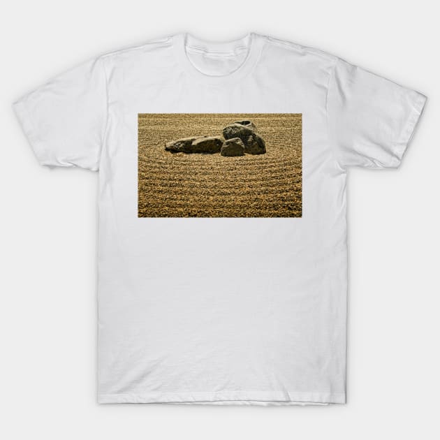 Zen Garden T-Shirt by jswolfphoto